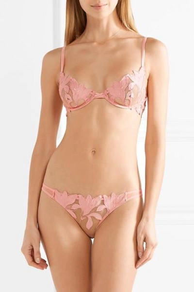 Shop Fleur Du Mal Lily Embroidered Lace And Stretch-tulle Briefs In Blush