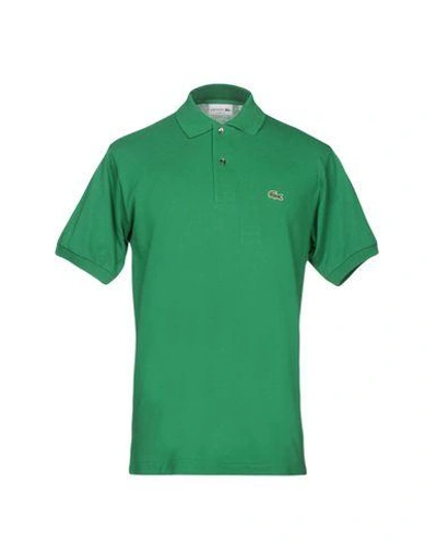 Shop Lacoste Polo Shirt In Green