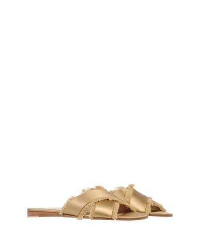 Shop Gianvito Rossi Sandals In Khaki