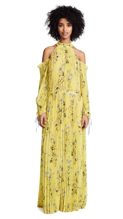 Shop Self-portrait Floral Printed Maxi Dress In Yellow