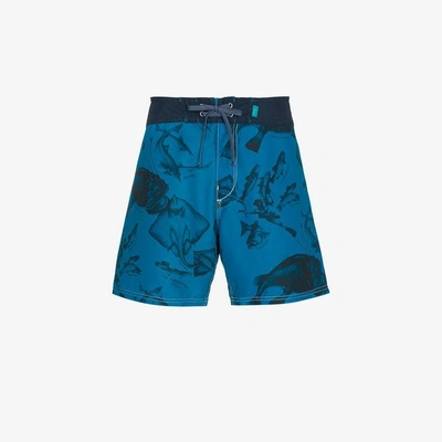 Shop Riz Boardshorts Riz Blue Swim Shorts With Fish Print