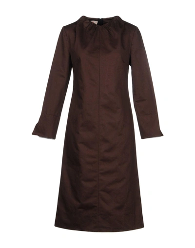 Shop Marni Knee-length Dresses In Dark Brown