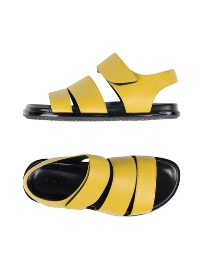 Shop Marni Sandals In Yellow