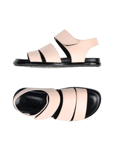 Shop Marni Sandals In Light Pink