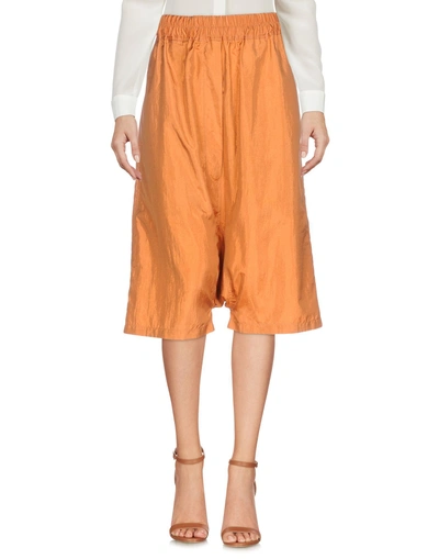 Shop Jil Sander Cropped Pants & Culottes In Brown