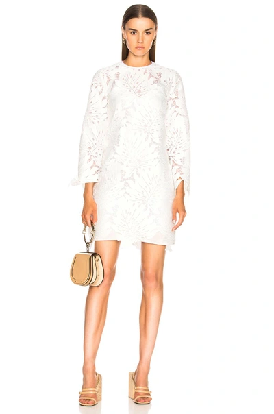 Shop Msgm Lace Dress In White