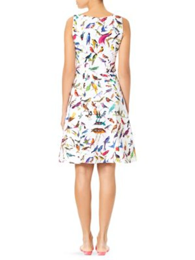 Shop Carolina Herrera Bird Print Stretch-cotton Day Dress In White Multi