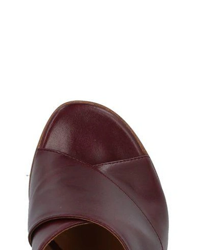 Shop Alberto Fermani Sandals In Maroon