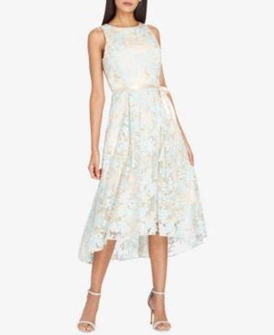 Shop Tahari Embroidered Midi Fit & Flare Dress In Nude/ice Blue