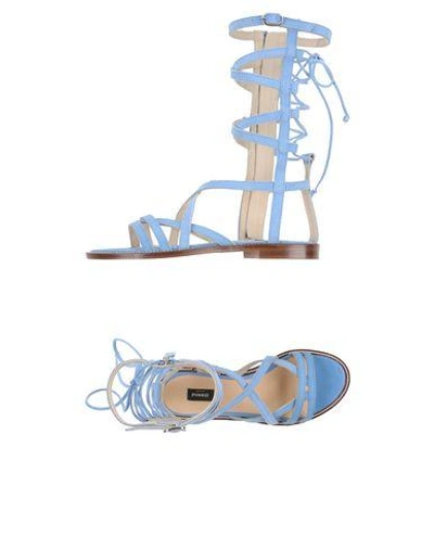 Shop Pinko Sandals In Sky Blue