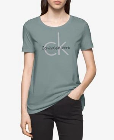 Shop Calvin Klein Jeans Est.1978 Logo Graphic T-shirt In Artic Spray
