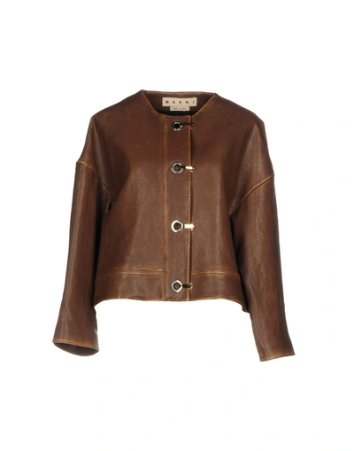 Shop Marni Leather Jacket In Cocoa