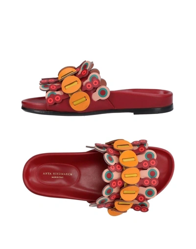 Shop Anya Hindmarch Sandals In Brick Red