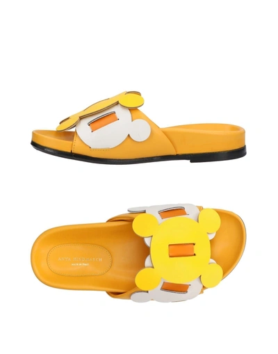 Shop Anya Hindmarch Sandals In Yellow