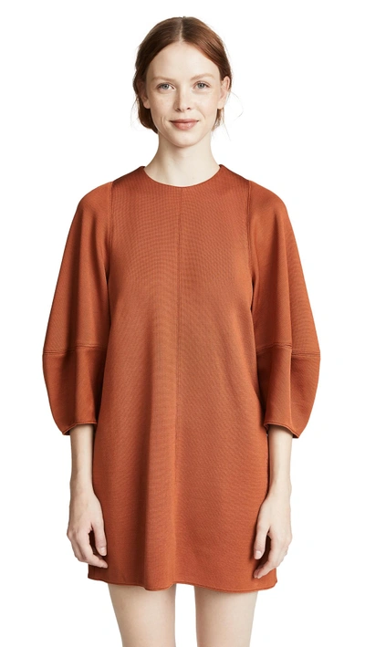 Shop Tibi Crepe Mini Dress In Rust