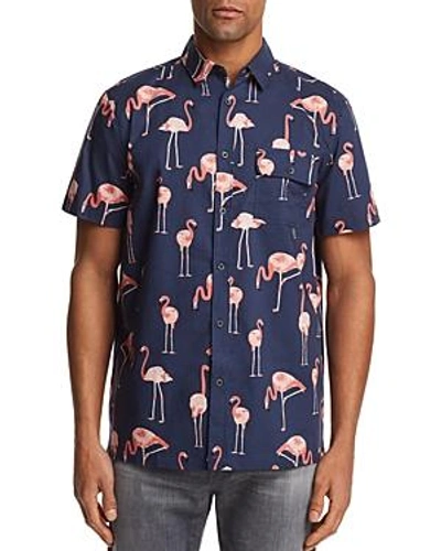 Shop Sovereign Code Flamingo Short Sleeve Button-down Shirt - 100% Exclusive In Navy