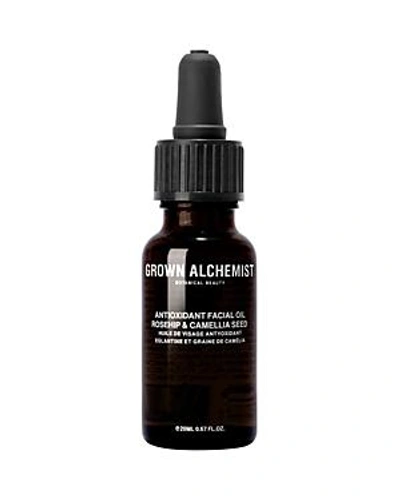 Shop Grown Alchemist Anti-oxidant Facial Oil