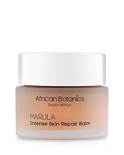 Shop African Botanics Marula Intense Skin Repair Balm