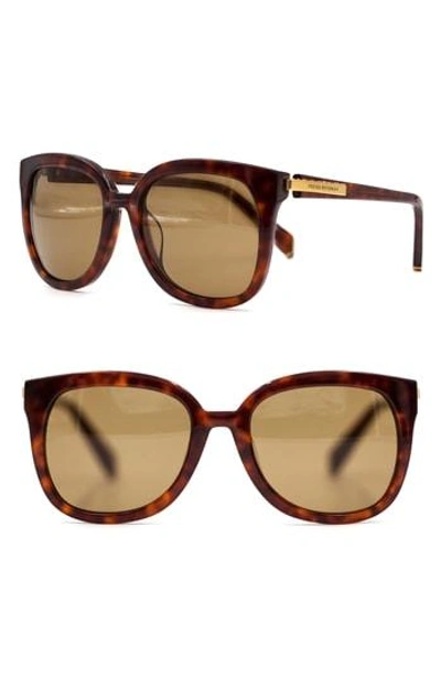 Shop Freida Rothman Brynn 54mm Butterfly Sunglasses - Wine