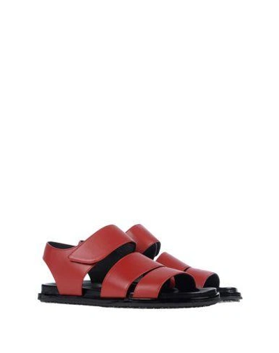 Shop Marni Sandals In Red