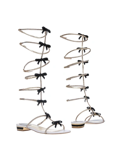 Shop René Caovilla Sandals In Platinum