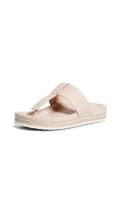 Shop Vince Avani Thong Sandals In Blush