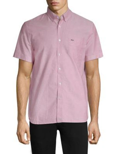Shop Lacoste Regular-fit Oxford Short-sleeve Shirt In Sierra