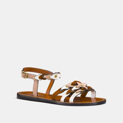 Shop Coach Sandal With Link - Women's In Beechwood/saddle/chalk