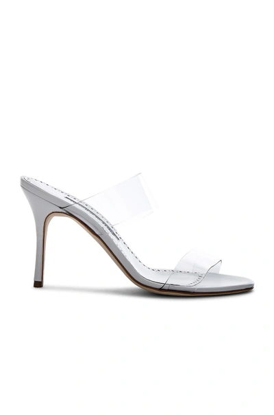 Manolo Blahnik Scolto Clear Double Strap Sandal In White Leather