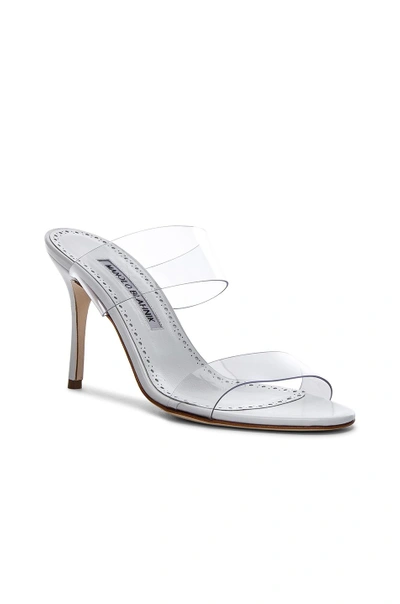 Manolo Blahnik Scolto Clear Double Strap Sandal In White Leather