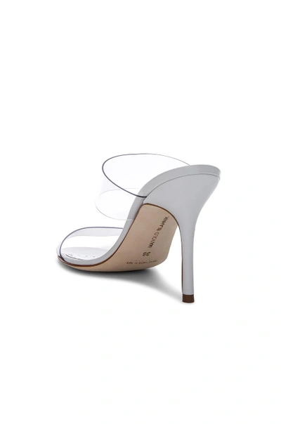 Manolo Blahnik Scolto Clear Double Strap Sandal In White Leather