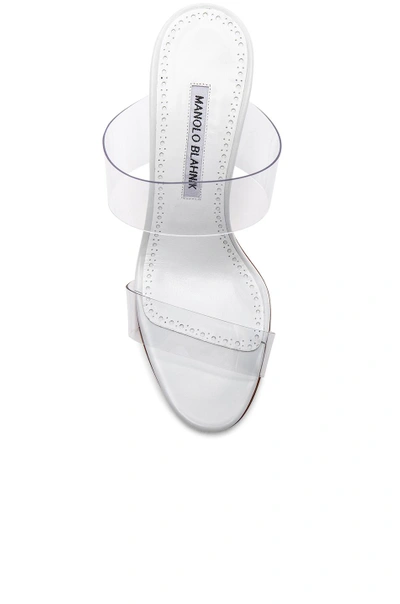 Manolo Blahnik Scolto Clear Double Strap Sandal In White Leather