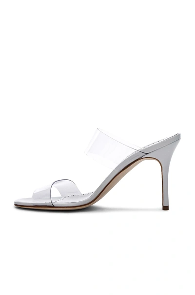 Shop Manolo Blahnik Pvc Scolto Sandals In White Leather