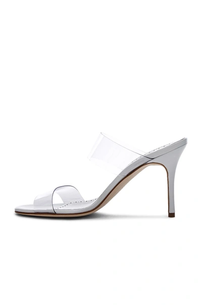 Manolo Blahnik Scolto Clear Double Strap Sandal In White Leather