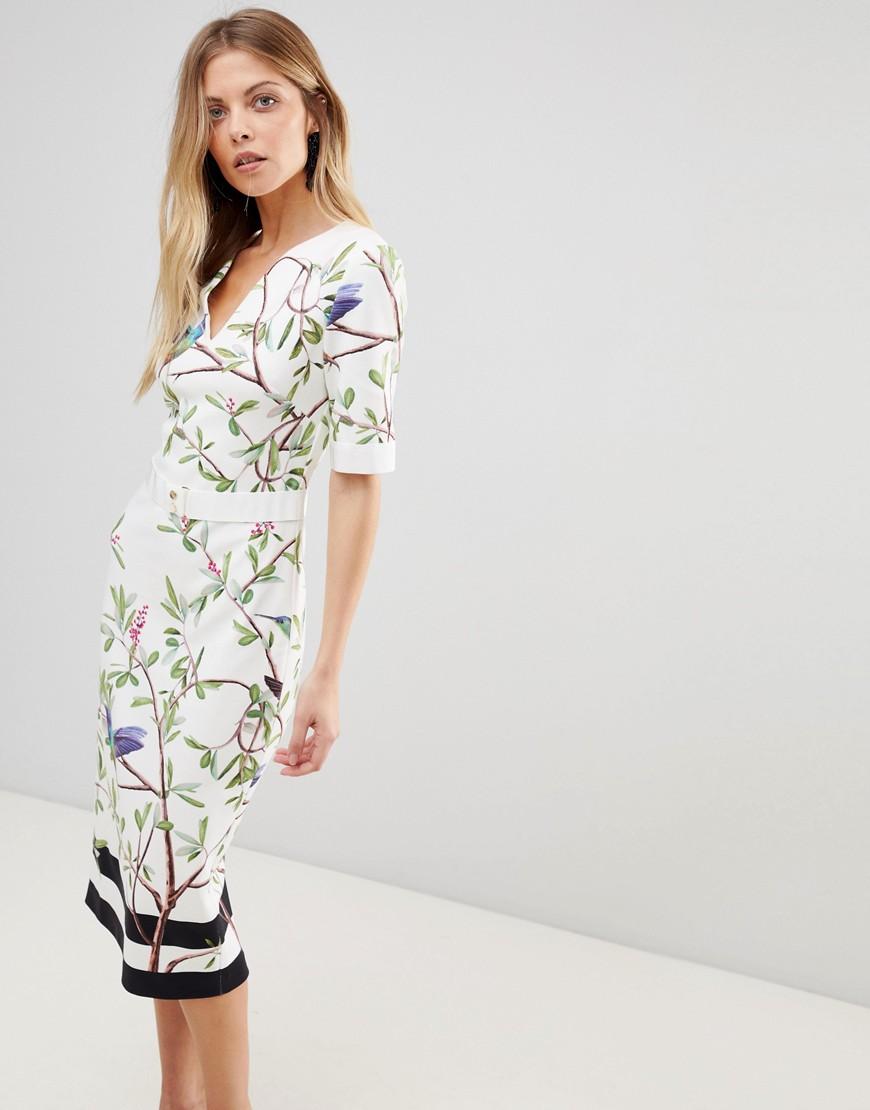 hummingbird dress ted baker