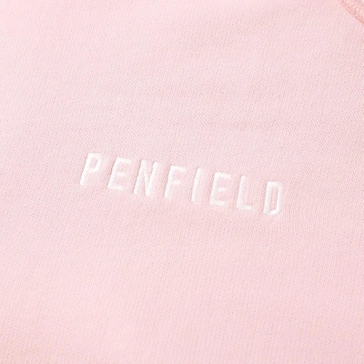 Shop Penfield Ackroyd Pullover Hoody In Pink