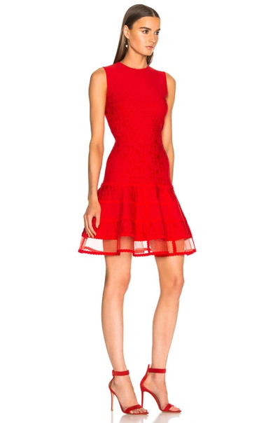 Shop Alexander Mcqueen Knit Sleeveless Mini Dress In Red