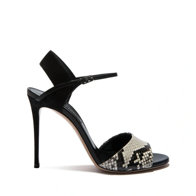 Shop Casadei Evening In Black And Stone