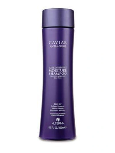 Shop Alterna Women's Caviar Anti-aging Replenishing Moisture Shampoo In Size 8.5 Oz. & Above