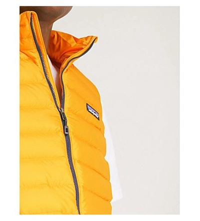 Shop Patagonia Padded Shell-down Gilet In Rugby Yellow