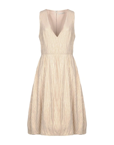 Shop Alice And Olivia Midi Dress In Sand