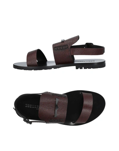 Shop Dsquared2 Sandals In Maroon