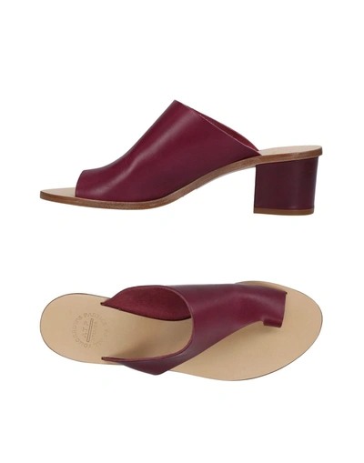 Shop Atp Atelier Toe Strap Sandals In Mauve
