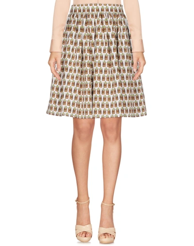 Shop Dolce & Gabbana Knee Length Skirts In Ivory