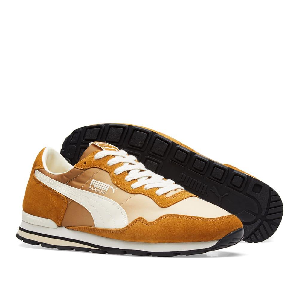 full form puma