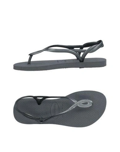 Shop Havaianas Woman Thong Sandal Lead Size 9/10 Rubber In Grey