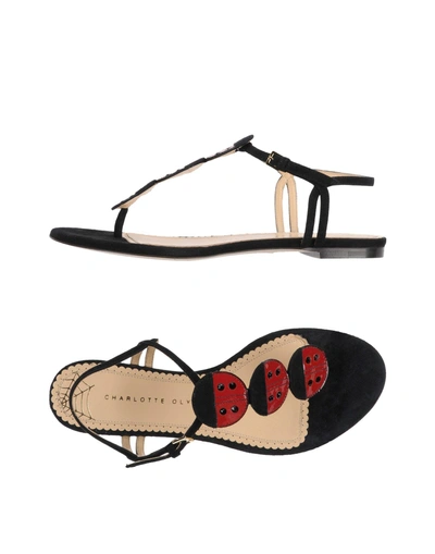 Shop Charlotte Olympia Toe Strap Sandals In Black