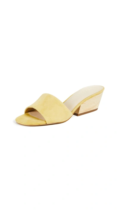 Shop Botkier Carlie Block Heel Slides In Pineapple