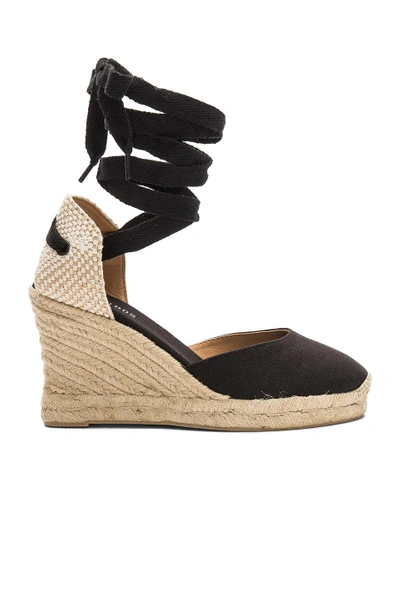 Shop Soludos Tall Wedge In Black
