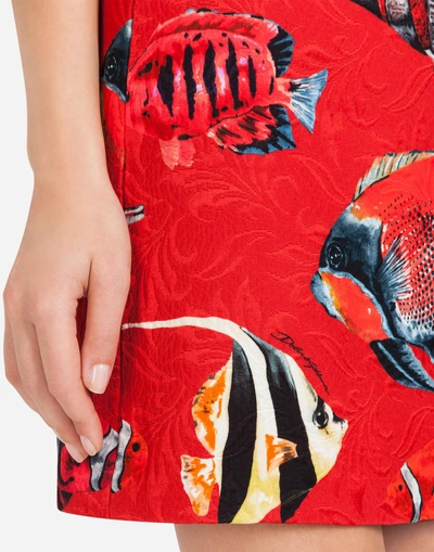 Shop Dolce & Gabbana Printed Brocade Skirt In Red